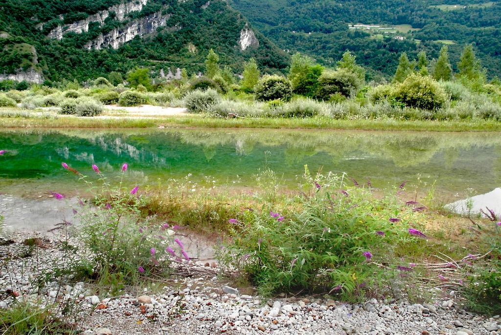 Locanda Del Re Feltre Exteriör bild