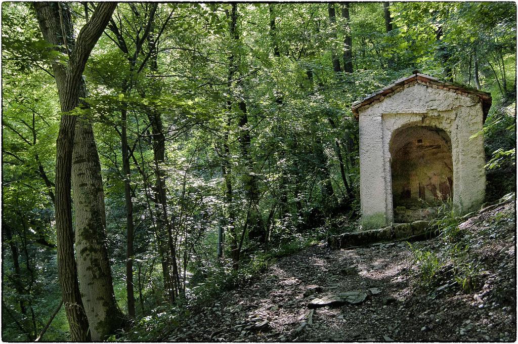 Locanda Del Re Feltre Exteriör bild